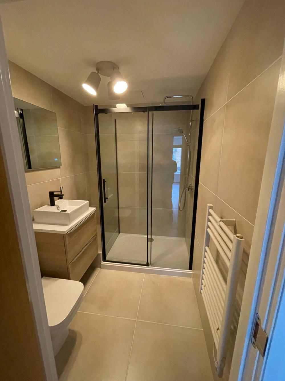 Bathroom Renovation - image 4